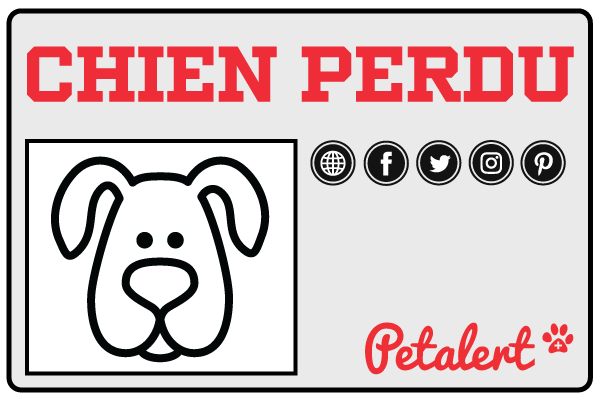 Pet Alert difunde la reseña de tu perro